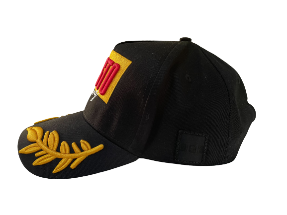 TIËSTO DRIVE OFFICIAL HAT